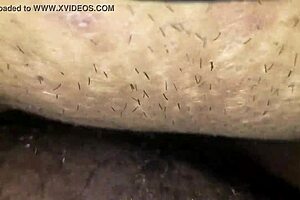 Sexy Brunette Gets Her Nipples Sucked Before Intense Missionary Fucking.