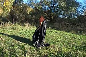 Leylakh DANCES in BIKINI at Public Outdoor Event