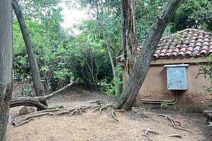 Cruising Cum Slut Gay Outdoors Blowjob Compilation