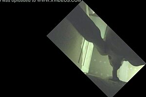 Stallion with full balls gets sucked off in glory hole