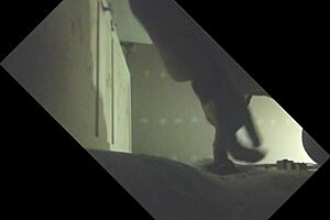 Stallion with full balls gets sucked off in glory hole