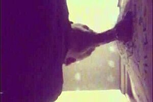 Stallion with full balls gets sucked off in glory hole