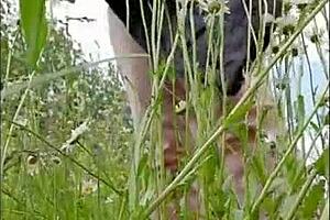 Naked Horny Milf Masturbates In Chamomile Field!