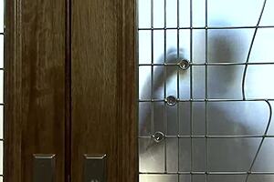 Interracial Experience Volume Two