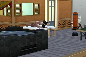 Goku Loses Control And Fucks All The Women He Wants Including Gohan's Wife At The Wedding