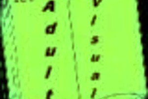 in harem hotel 201, the game unfolds with hentai adventures