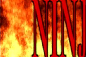 Ninja Adventures in Volume 1