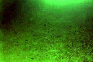 Amateur asian japanese gay solo guy explores his desires intensely!