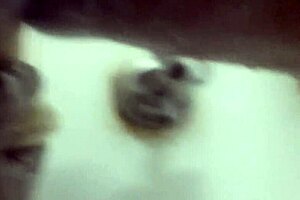 Masturbating With My Dildo In The Shower, Feeling So Good 😏