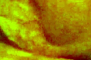 homemade amateur fucking with big clitoris on monster cock