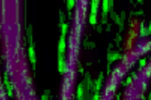 I savor licking my thick pawg girlfriend's juicy ass and wet pussy