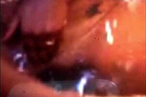 best porn pussy, what do you think?