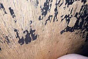 Dark Room Heats Up With Three Horny Guys Craving Passionate Sex And Cum