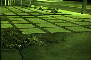 stranded teen 18+ gets roughly fucked outdoors in public bondage