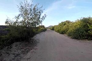 i fode em publico na praia pra get help unstuckin the car, sumaya ganesha and pernocas joy cardozo