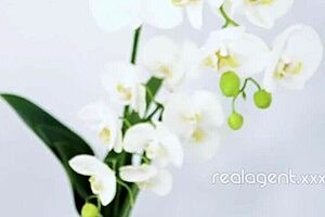 daniella margot in heels trying to insert dildo first time in doggy style