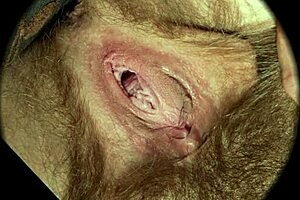 close up hairy pussy sex hd