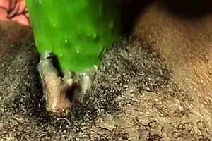 Cyndy Blackslave undergoes cucumber fucking with squirting in close-up homemade BDSM scene