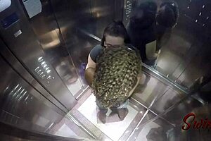 Caught sado doll and harlequin in naughty elevator play