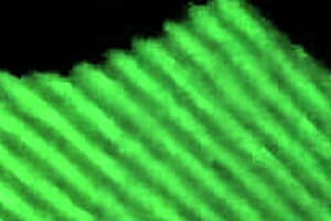 cogidita gets intense in gay action