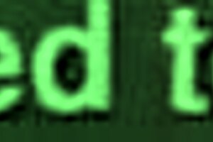 Wow, have you seen this futadomworld futa newhalf compilation yet?