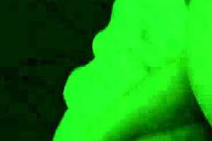 Ms Jackson's big ebony butt