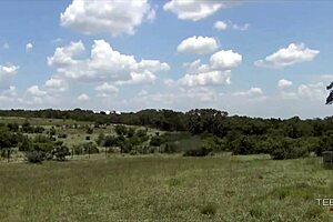 Dynamic deauxma, are you searching for dark vaders in the shower?