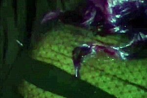 Intense Anal Doggy And Pussy Fucking For Easy Money Mission With This Dude