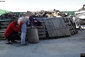 Fuck Her Ass on a Log Outdoors!