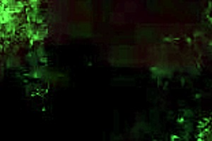 I love this vintage erotic cartoon