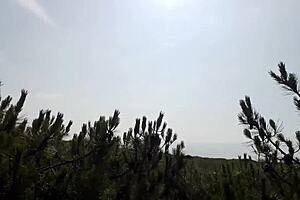 francky jerks off and cums in the forest with handjob action