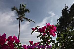 me cojo a la novia de mi amigo en su propio carro, sintiendo emociones profundas de traicion y placer