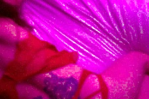 Skinny Redhead Nympho Fucks Until Impregnated With Sperm