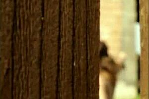 neighbors spy on flashing big tits in summer outdoor fun