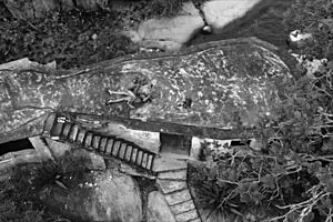 Ex-Partera Leaves Church for FODDER Thoughts