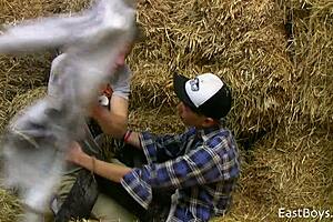 18 Twinks Dive into Hot Action Together