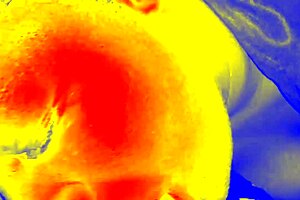 Watch this sloppy blowjob from a fat ebony amateur.