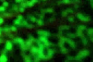 hey, check out this stripper girl fucking and sucking on hidden cam 😏