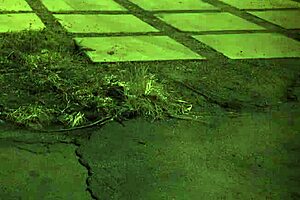 Horny teen 18+ bound in homemade bondage domination.