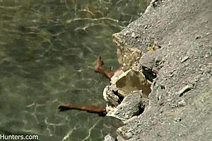 “yo, let’s get wild on this beach right now, babe!”