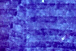 She cums while I fuck her hard