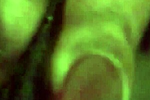 Pretty Pink Wet Pussy