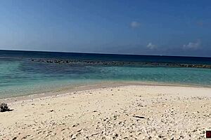 OMG, I pissed on her at the beach, she freaked out! 😱