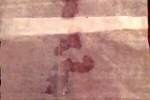 Slo-Mo Jerk with Cumshot