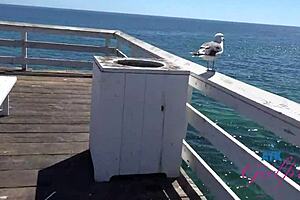 Holiday Group Bang With Summer Vixen: POV Pussy Licking Vs Hard Fucking