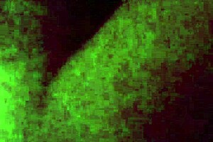 excited blonde wanted to sit and last the whole night