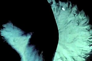 My Secrit Life In Vintige Silent Films