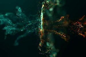 i love licking that ass and deepthroating her tight pussy in doggystyle position