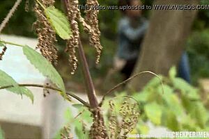 Slutty Teen Sucks Stranger's Cock On Street