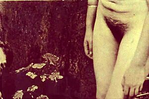 exploring vintage porn history